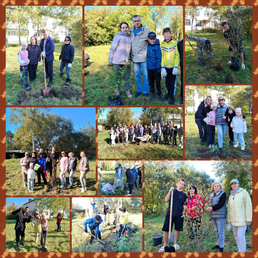 mycollages-2026-09-29_12-15-46.jpg mycollages-2026-09-29_12-15-46.jpg